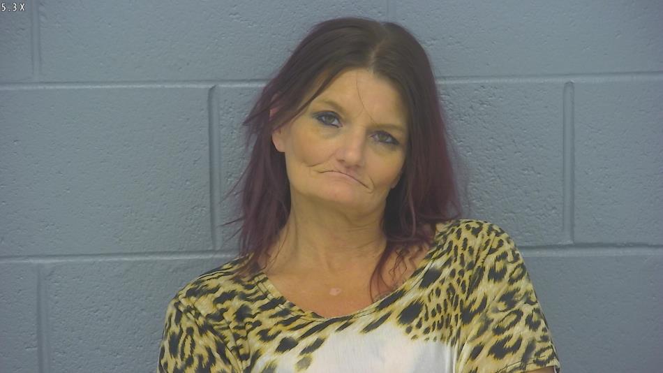 Arrest photo of CECELIA JAMES