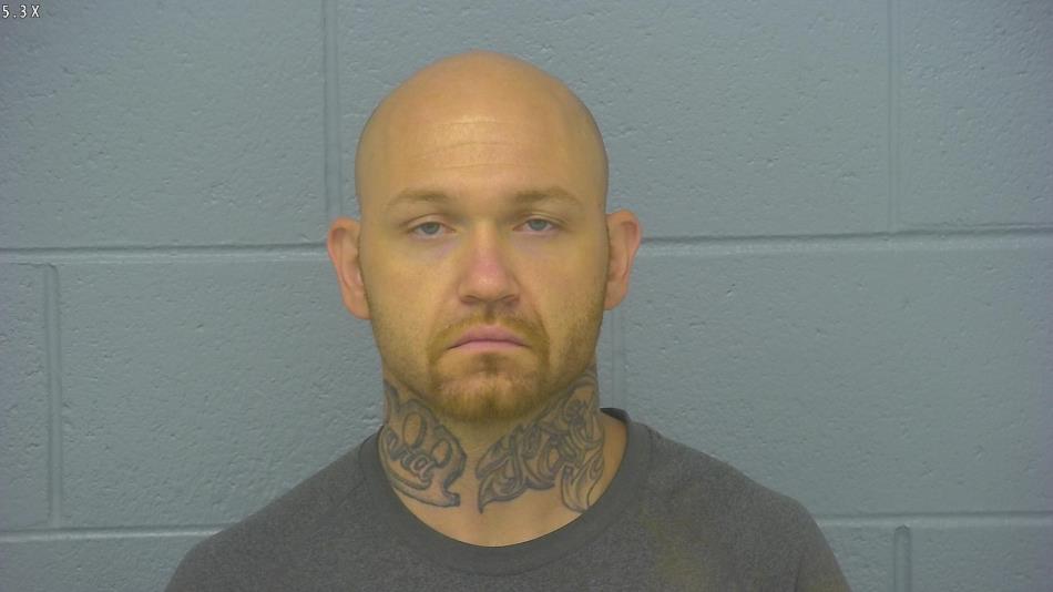 Arrest photo of CHAD NELSON