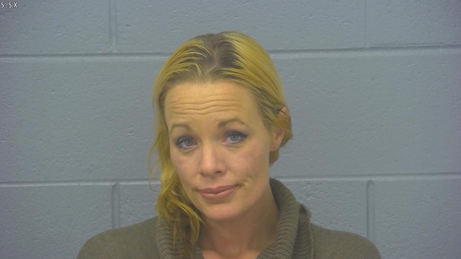 Arrest photo of CHANDA SAYRE