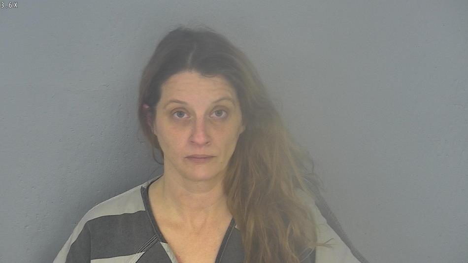 Arrest photo of CHANDEL CHAVEZ