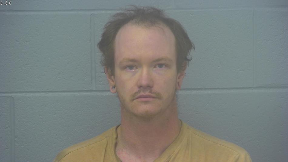 Arrest photo of CHANDLER HADEN