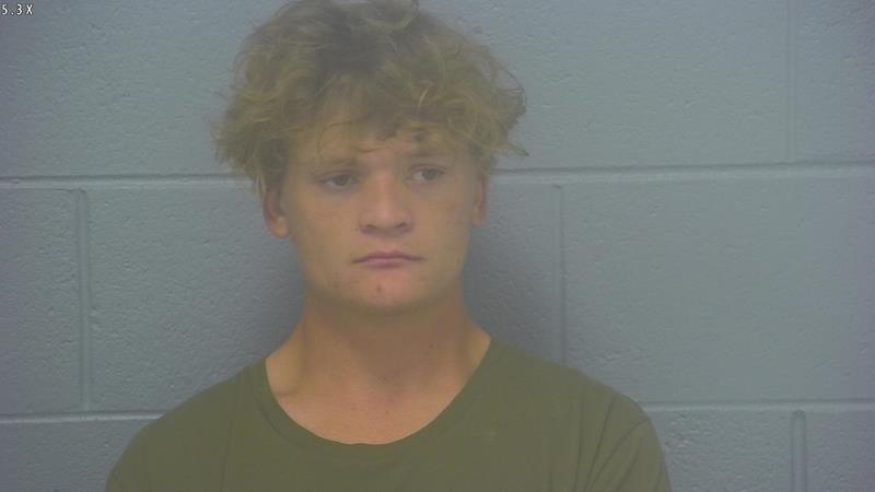 Arrest Photo of CHARLES SULLINS, arrested on 11/20/2025