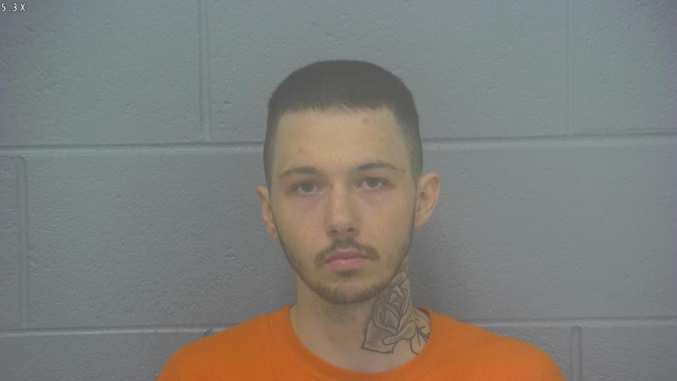 Arrest photo of CHASE WELLS