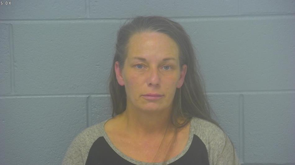 Arrest photo of CHASITY DAVIS