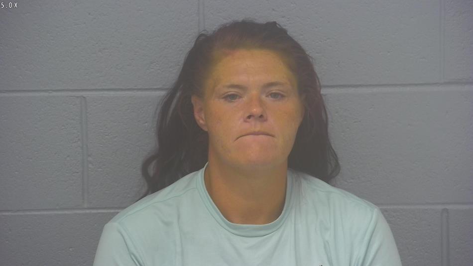 Arrest photo of CHASITY COOPER