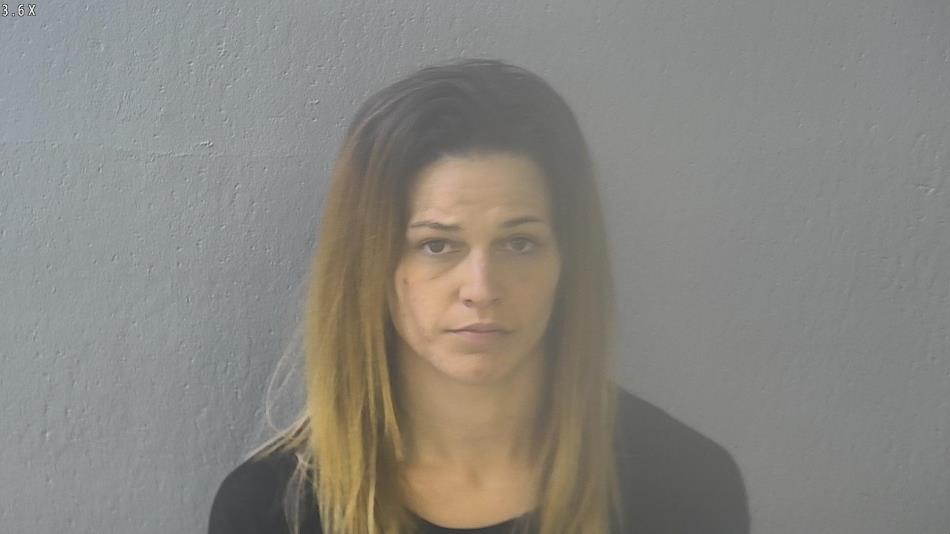 Arrest photo of CHELEY DEMLER