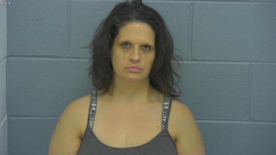 Arrest photo of CHELSEA AHRENS