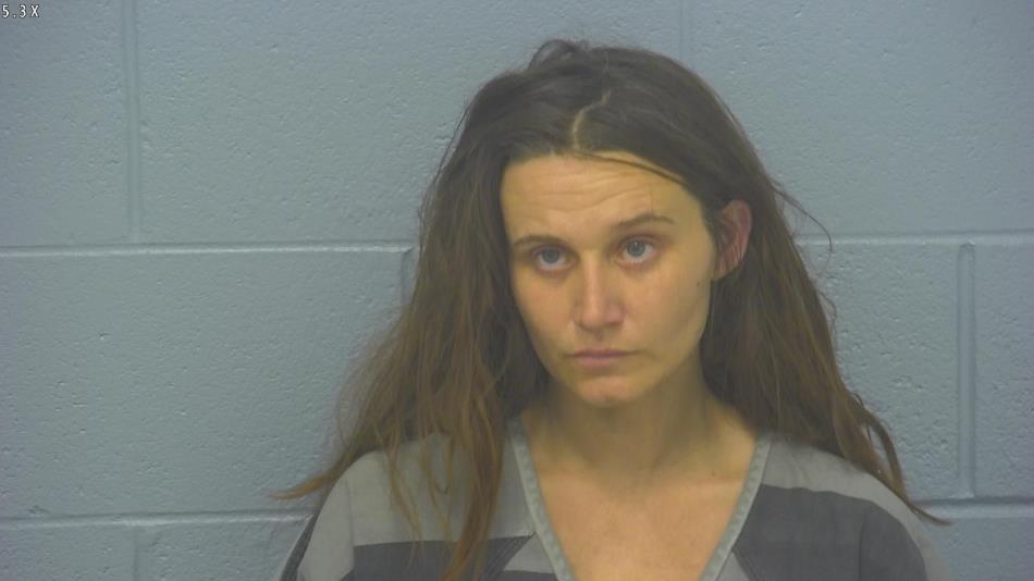 Arrest photo of CHELSEA HORTON