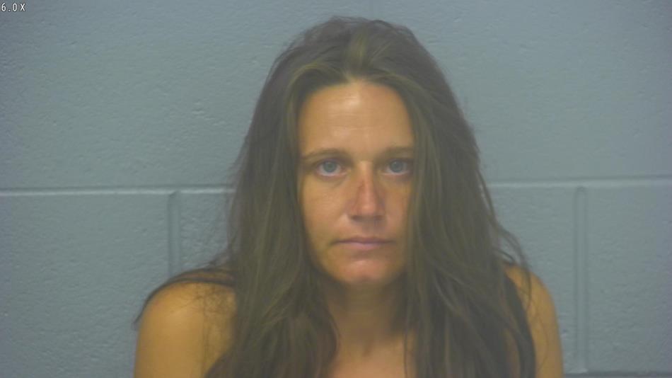 Arrest photo of CHELSEA HORTON