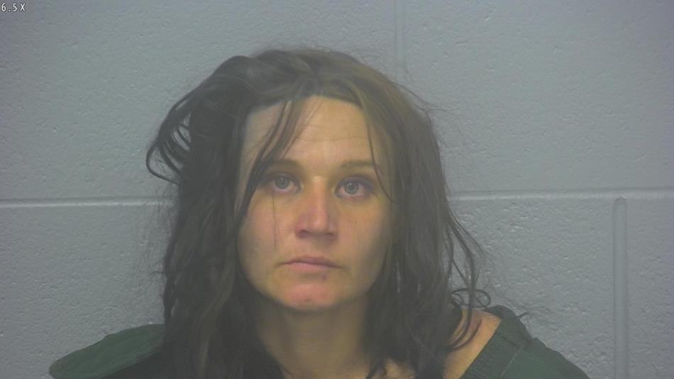 Arrest Photo of CHELSEA HORTON, arrested on 2/19/2024