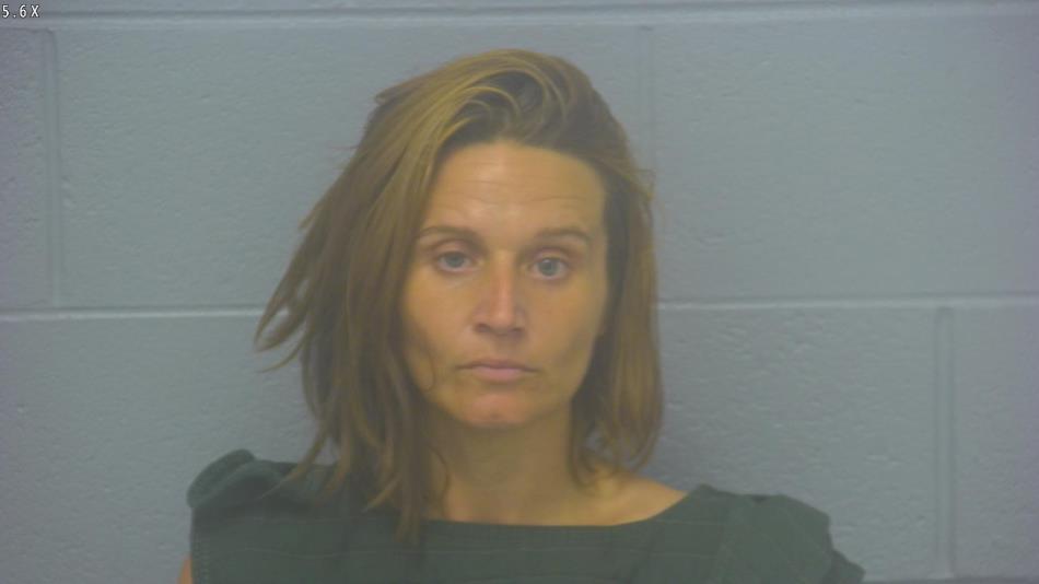 Arrest photo of CHELSEA HORTON