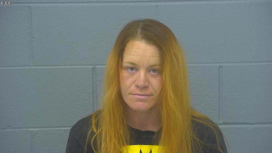 Arrest photo of CHELSEY NEWLON