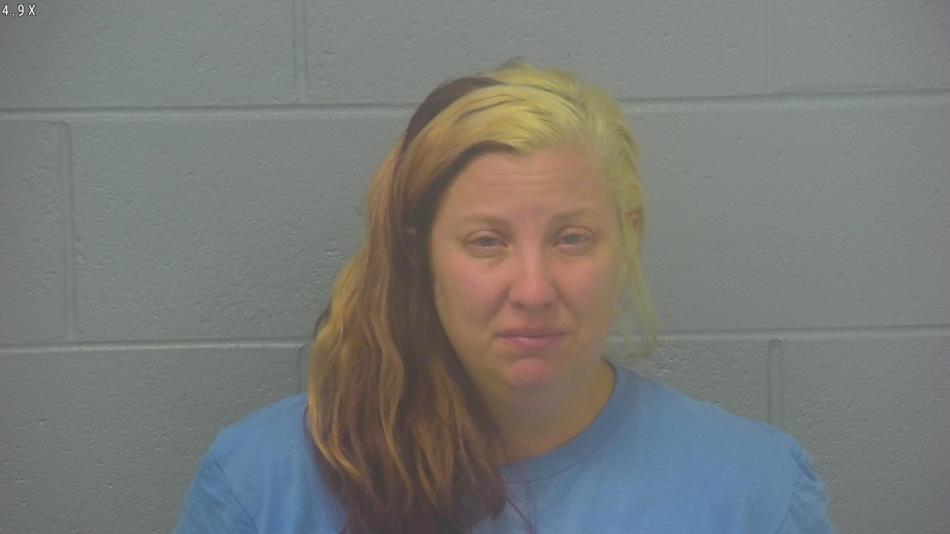 Arrest photo of CHELSEY SIKES