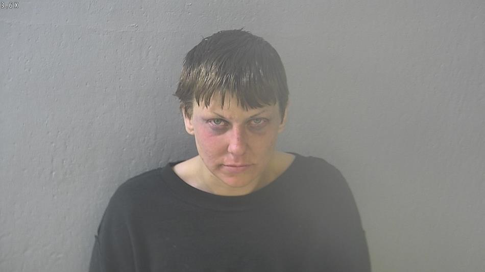 Arrest photo of CHELSI BENNETT