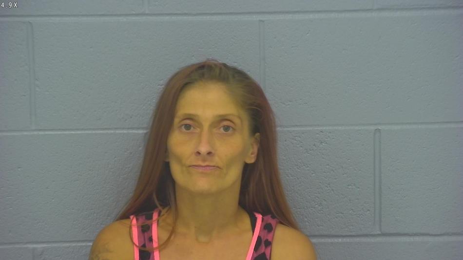 Arrest photo of CHERI CRESON