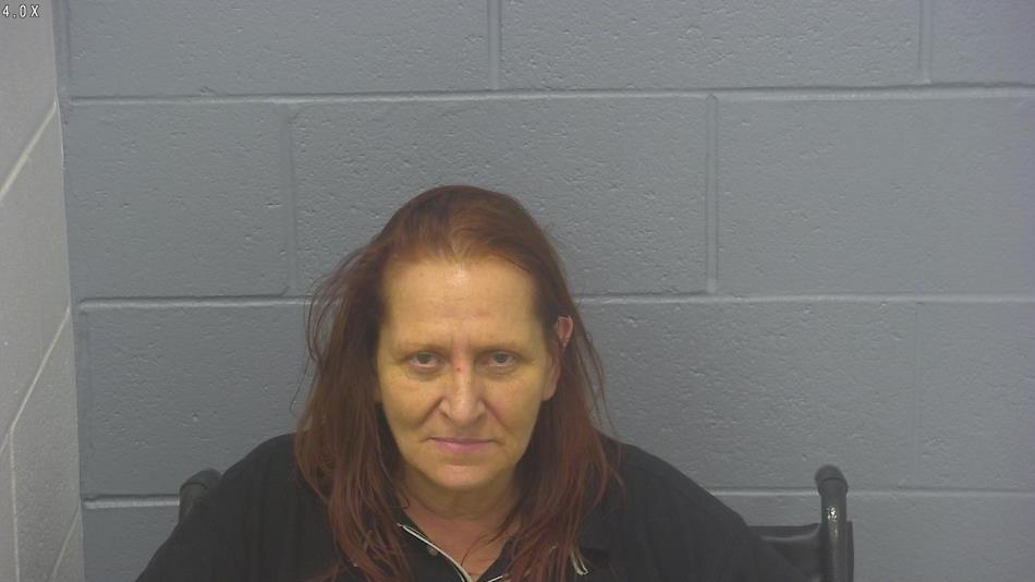 Arrest photo of CHERYL BOEDING