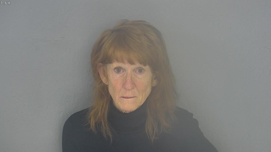 Arrest photo of CHERYL RICE