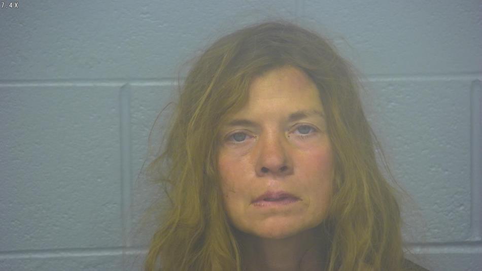 Arrest photo of CHERYL BONILLA