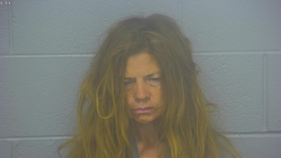 Arrest photo of CHERYL BONILLA