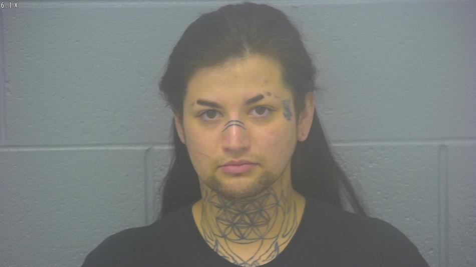 Arrest Photo of CHEYENNE PEEK, arrested on 12/28/2024