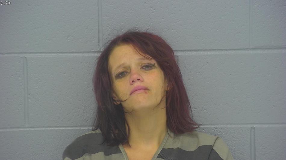 Arrest photo of CHEYENNE REYNOLDS