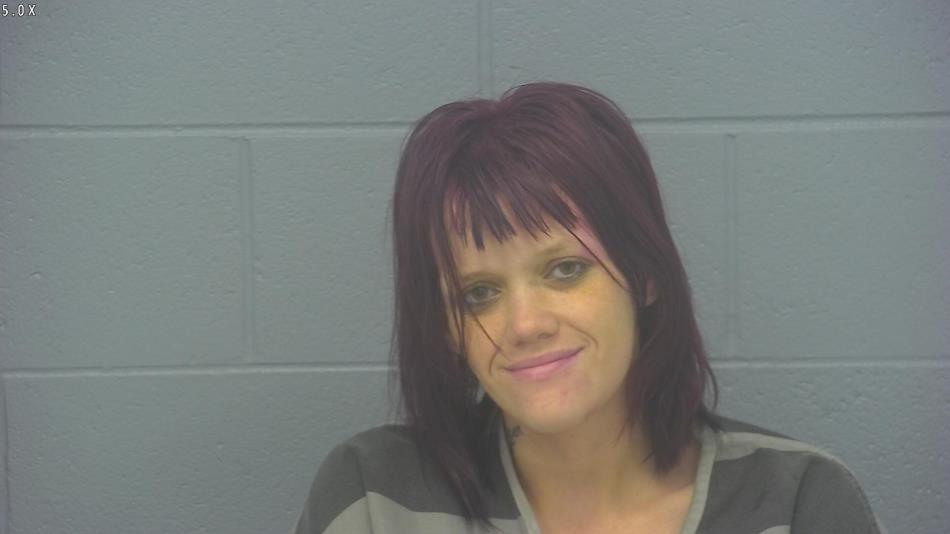 Arrest photo of CHEYENNE REYNOLDS