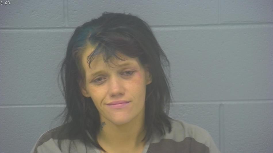 Arrest photo of CHEYENNE REYNOLDS