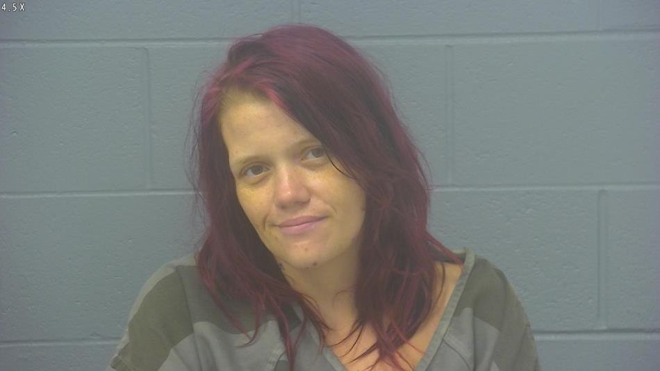 Arrest photo of CHEYENNE REYNOLDS