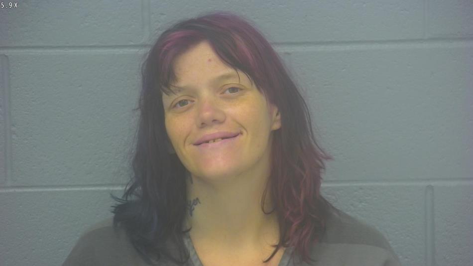 Arrest Photo of CHEYENNE REYNOLDS, arrested on 8/25/2024