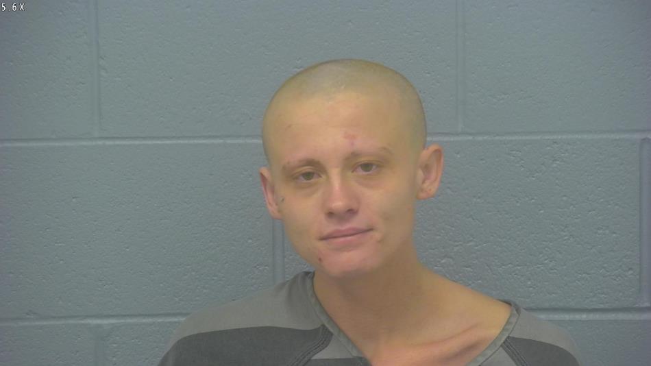 Arrest photo of CHEYENNE HICKS