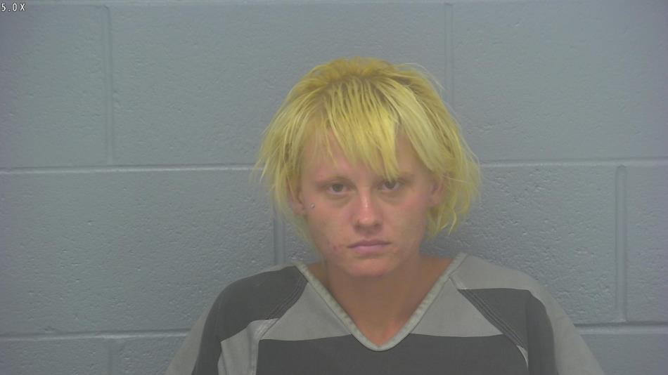 Arrest Photo of CHEYENNE HICKS, arrested on 7/15/2024