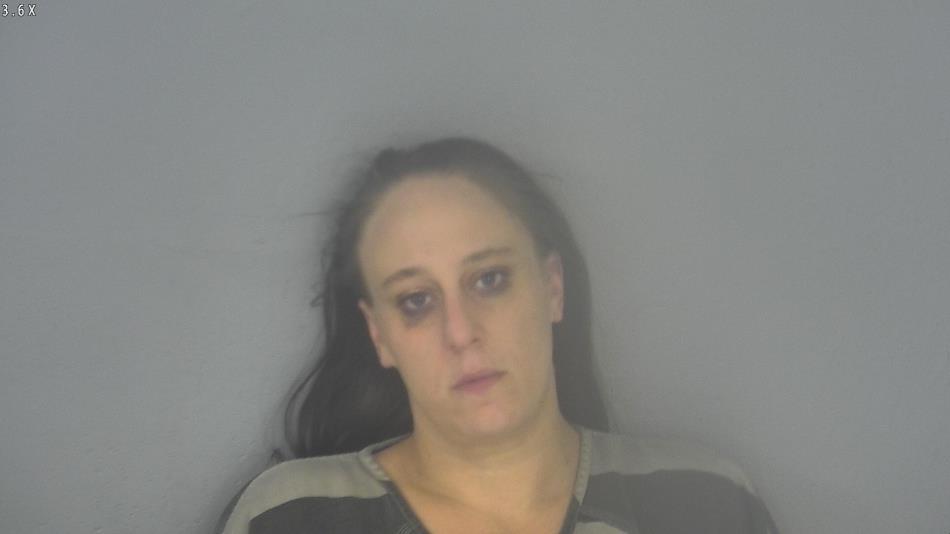 Arrest photo of CHLOE WHEELER