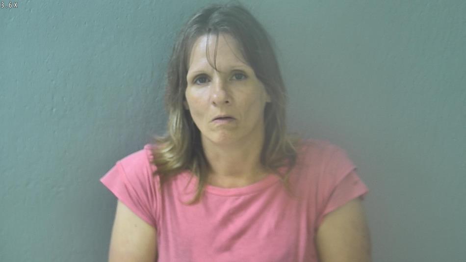 Arrest photo of CHRISTI COLE