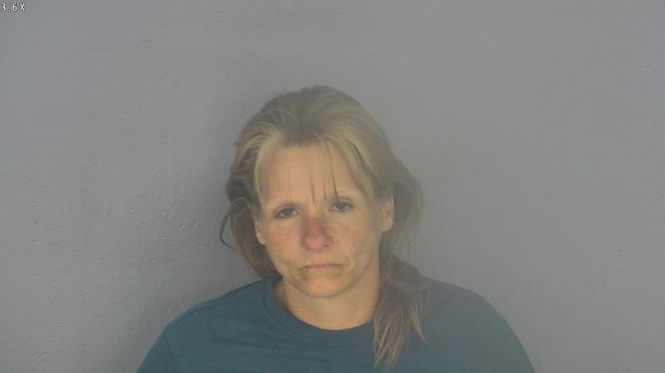 Arrest photo of CHRISTI COLE