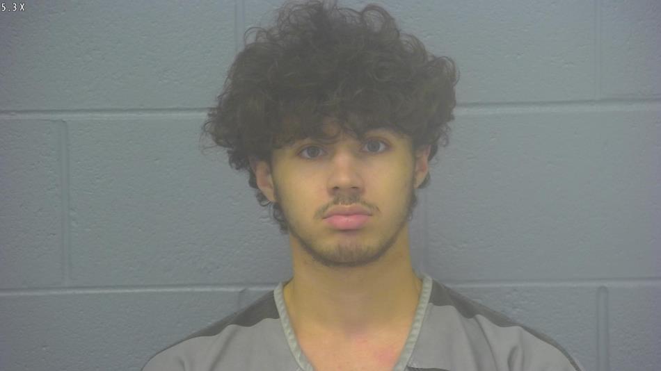 Arrest photo of CHRISTIAN BROOKS