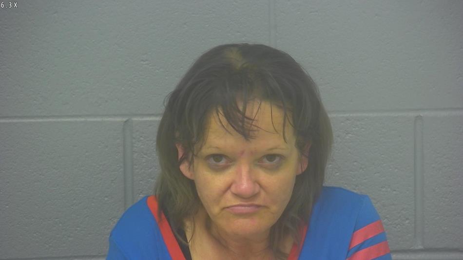 Arrest photo of CHRISTIN COOK