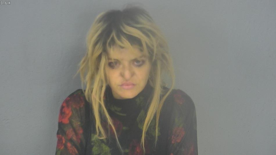 Arrest photo of CHRISTIN PETTIGREW