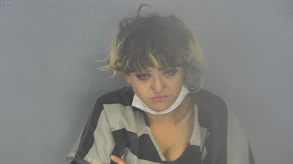 Arrest photo of CHRISTIN PETTIGREW