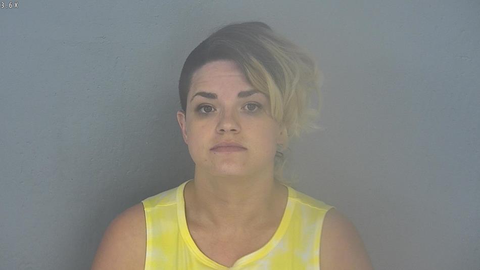 Arrest photo of CHRISTINA WEBB