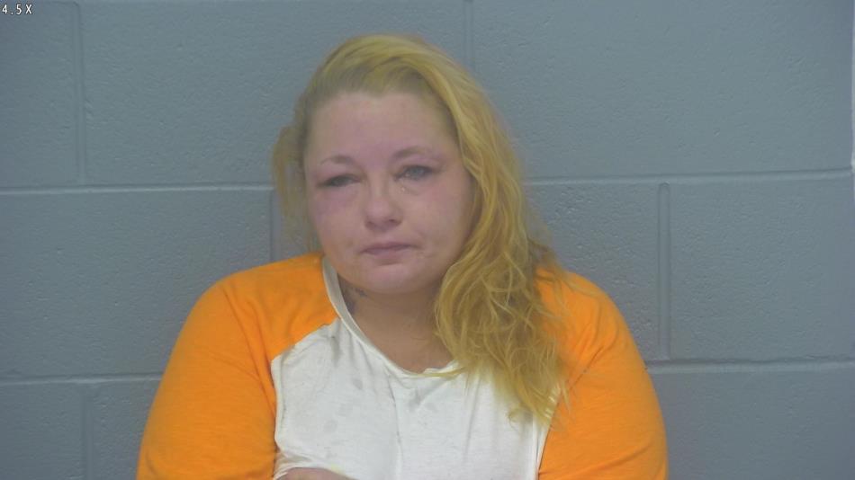 Arrest photo of CHRISTINA HOUK