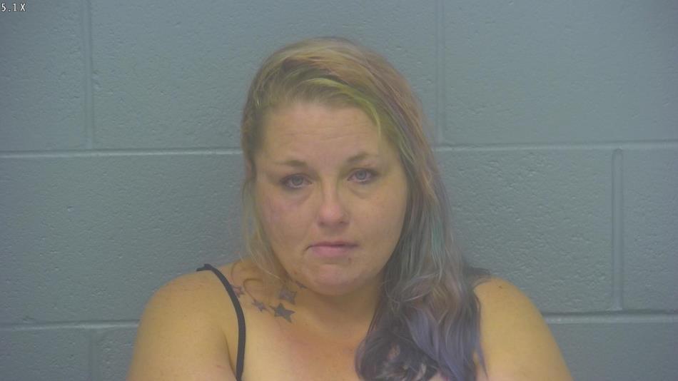 Arrest photo of CHRISTINA HOUK