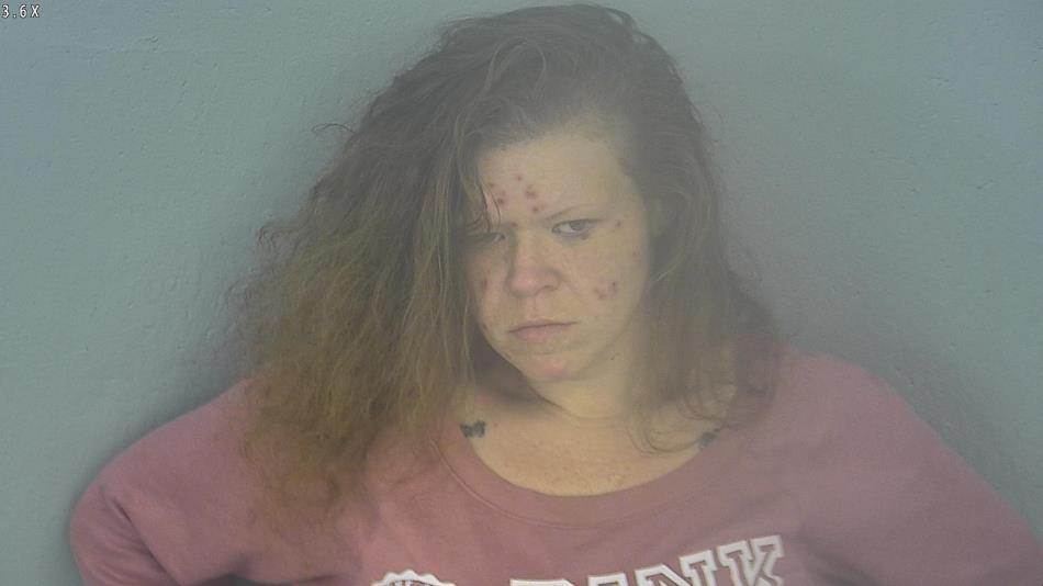 Arrest photo of CHRISTINA GAMBRIEL