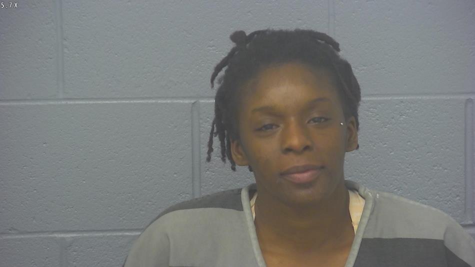 Arrest photo of CHRISTINA HOWARD