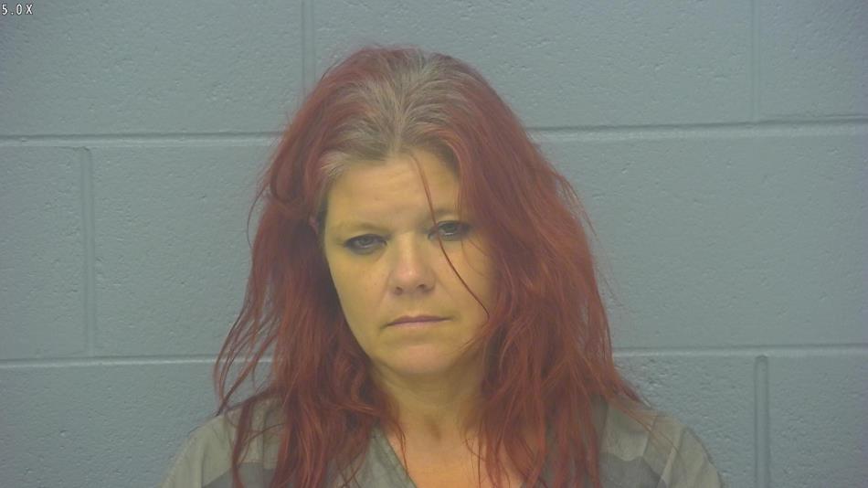 Arrest photo of CHRISTINA FLAVELL