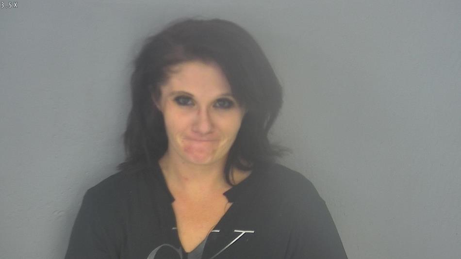 Arrest photo of CHRISTINA HOLMES