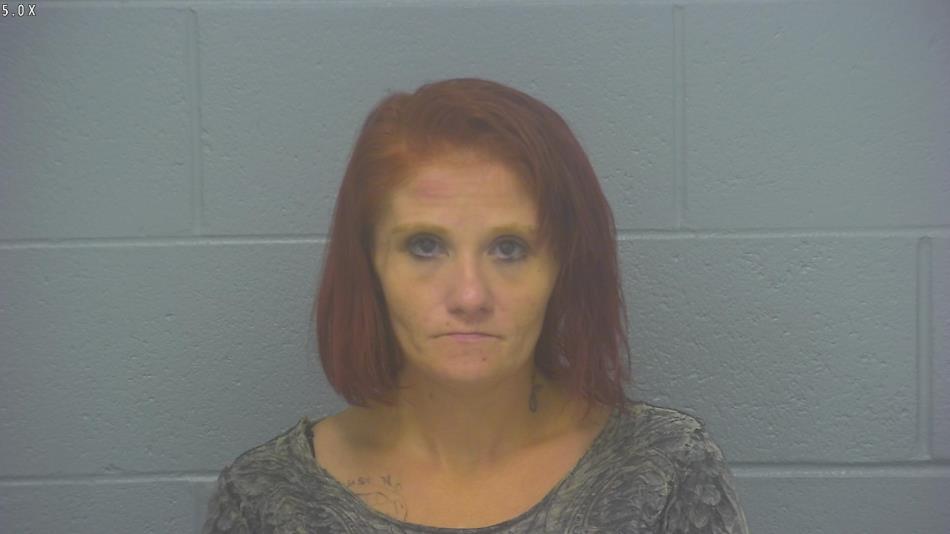 Arrest photo of CHRISTINA HOLMES