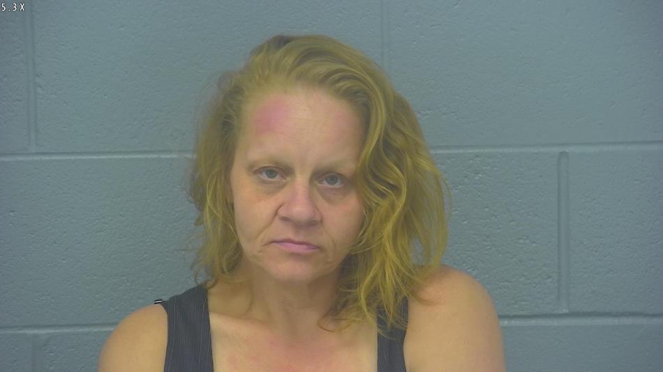 Arrest photo of CHRISTINA HANKINS