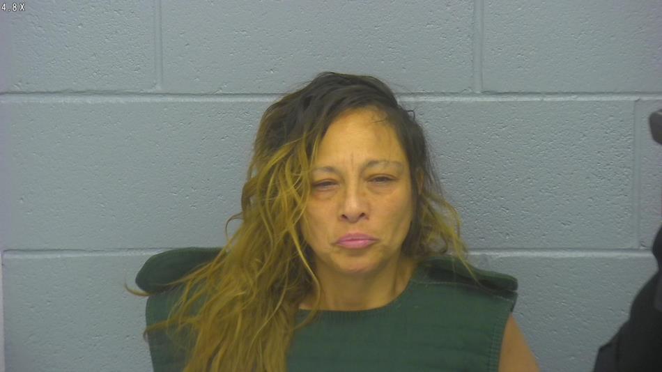 Arrest photo of CHRISTINA HOWARD