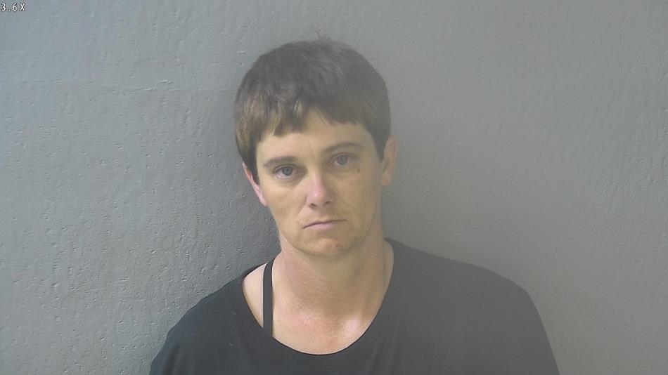 Arrest photo of CHRISTINA SIMPSON