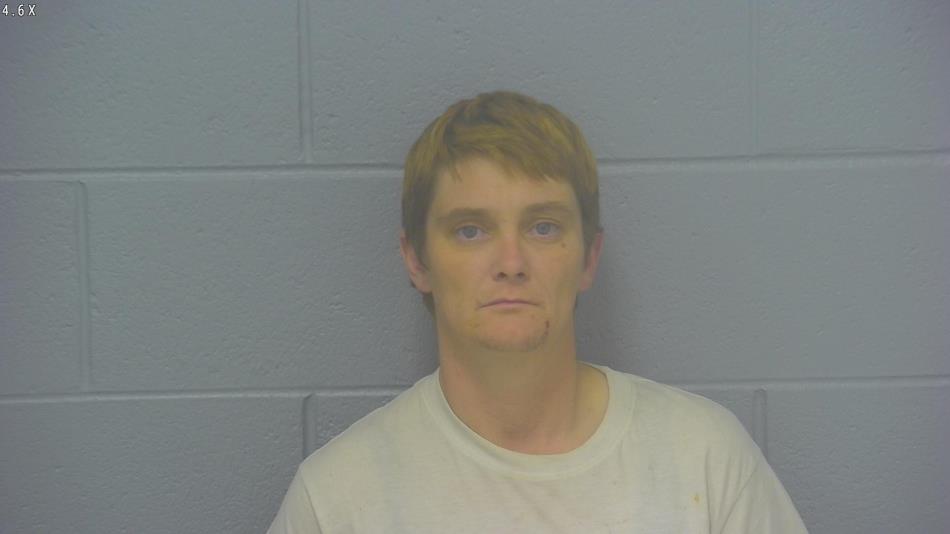 Arrest Photo of CHRISTINA SIMPSON, arrested on 11/9/2024